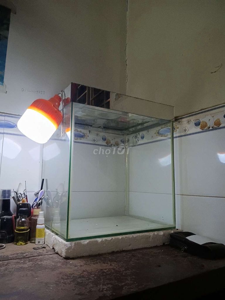 Hồ cá kính 45x35x50cm. Mua bán Phụ kiện, Thức ăn, Dịch vụ tại Quận Ninh Kiều Cần Thơ được đăng bởi Hau ngô hình 1
