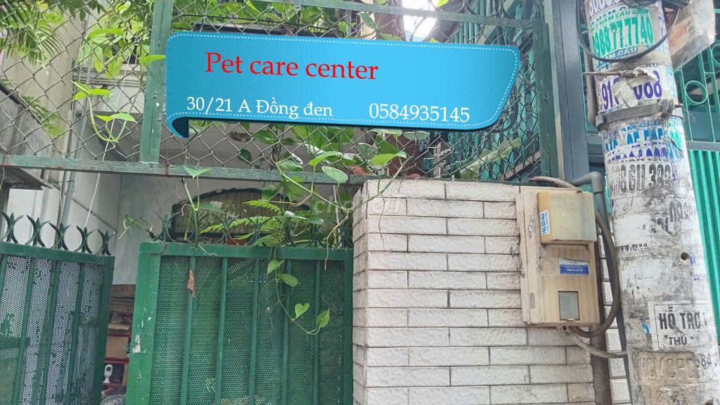 Bọ ú cali petkiengzizi tại Quận Tân Bình, Tp Hồ Chí Minh hình 4