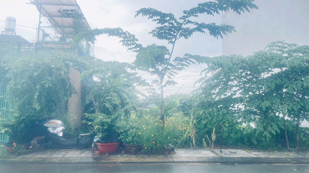 CHÍNH CHỦ BÁN ĐẤT LONG PHƯỚC | 60M² | ĐƯỜNG 8M | FULL THỔ CƯ