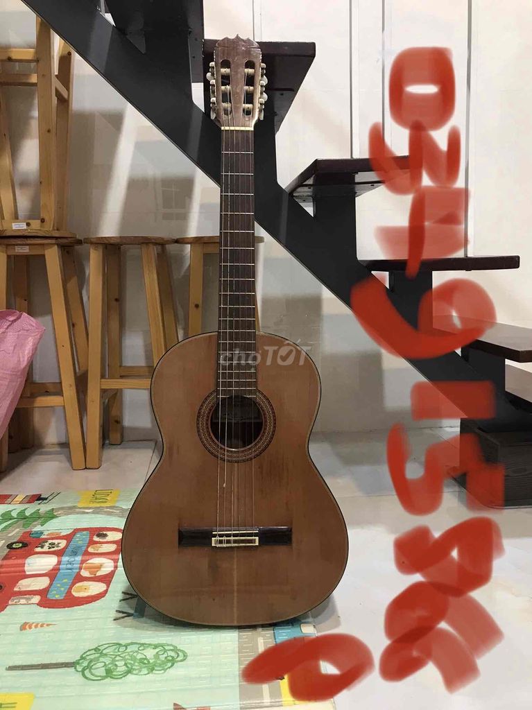 Guitar Matsuoka M50