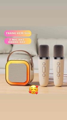 Loa k12 karaoke kèm 2 mic