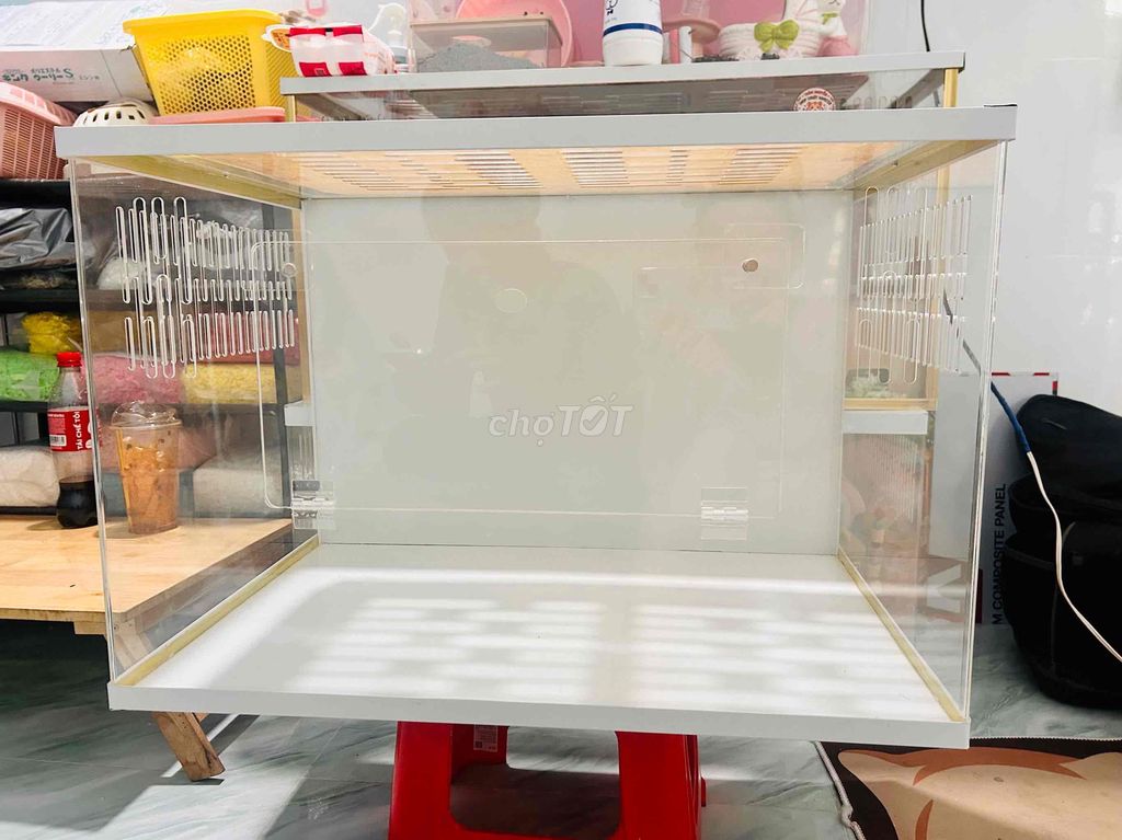Chuồng Hamster Mica Trắng 60x4x4 kèm 1 Hamster. Mua bán Phụ kiện, Thức ăn, Dịch vụ tại Thành phố Thủ Đức Tp Hồ Chí Minh được đăng bởi Nguyễn Hữu Phú Tân hình 1