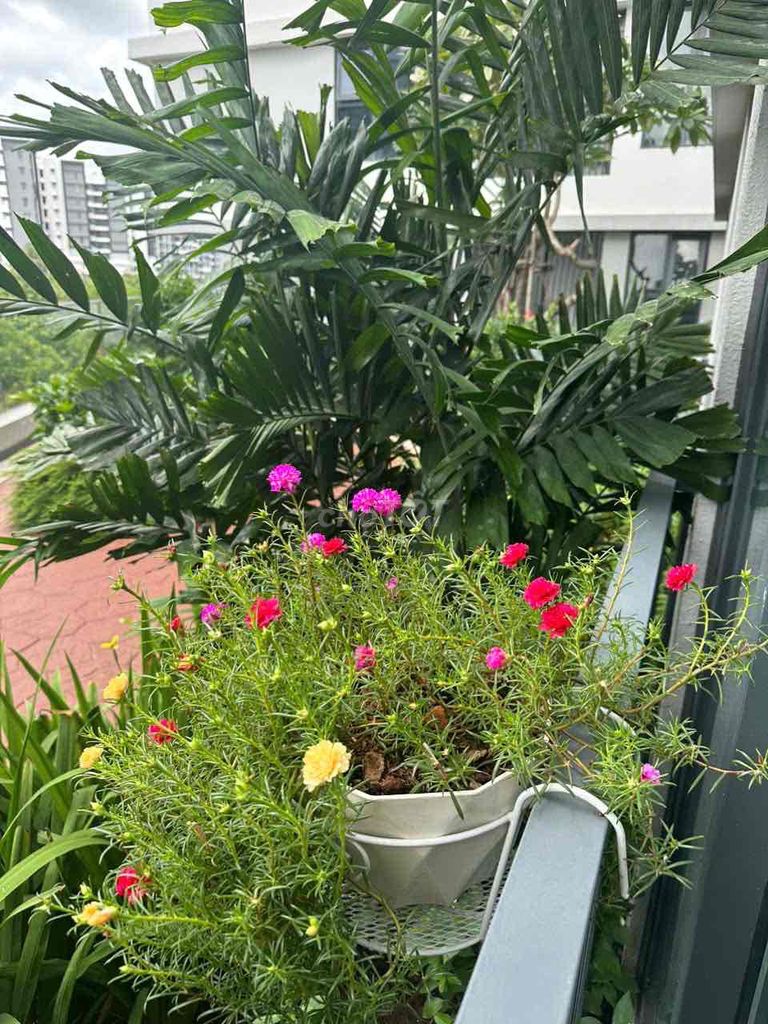 Аренда · 2 комн. · 92 м² · Quận Tân Phú, ул. số 88 Số 88 đường N1