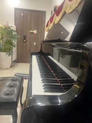 Nhận dạy đàn piano tại phú mỹ hưng quận 7. Dịch vụ tại Quận 7 Tp Hồ Chí Minh được đăng bởi Le quang huy