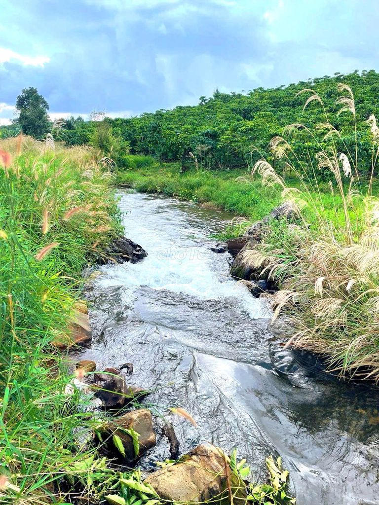 Đất Sào Giáp suối, Có hồ ở Lộc Châu view Núi Cách trung Tâm TP 5km