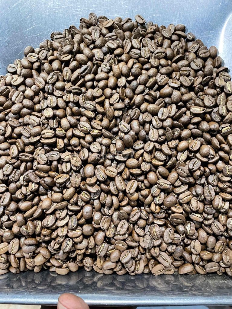 🌱 CÀ PHÊ HẠT NGUYÊN CHẤT – CHẤT LƯỢNG DÀNH CHO QUÁ. Mua bán Đồ ăn, thực phẩm và các loại khác tại Thành phố Thủ Dầu Một Bình Dương được đăng bởi KHO CAFE SG hình 2