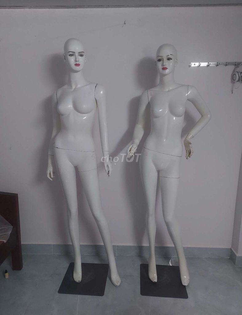 manacanh, manơcanh, ma nơ canh, ma-nơ-canh. Mua bán Đồ chuyên dụng, Giống nuôi trồng tại Quận 7 Tp Hồ Chí Minh được đăng bởi Thanhhuu hình 1