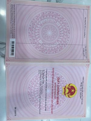9 CHỦ CẦN BÁN GẤP 1HA ĐẤT FULL THỔ CƯ, GẦN KCN PHƯỚC THẠNH , CAO. Mua bán đất tại Huyện Gò Dầu Tây Ninh được đăng bởi VIỆT ANH