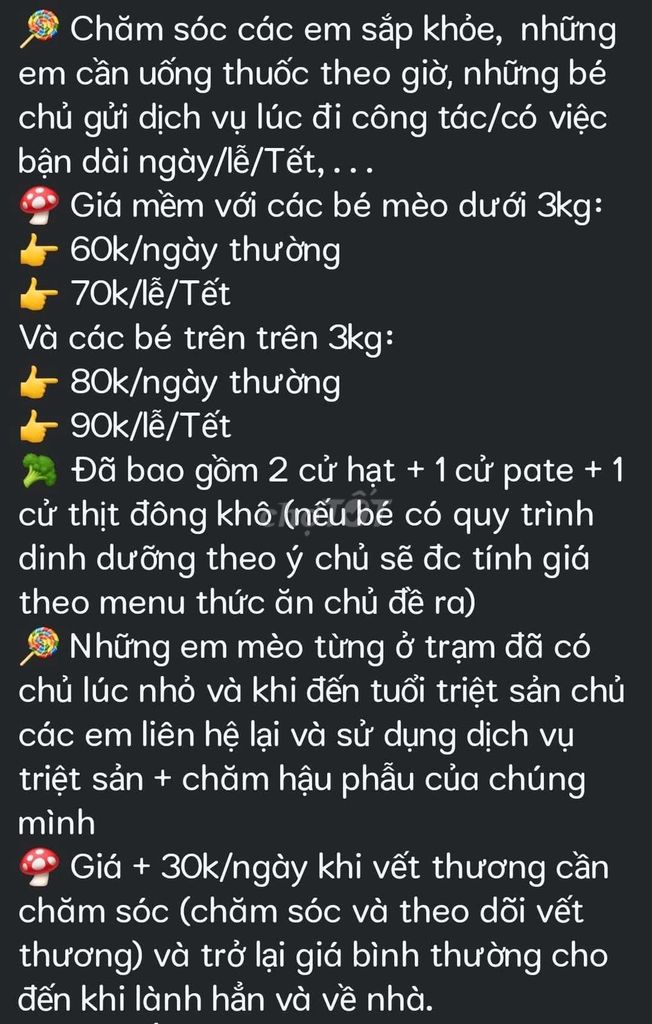 Nhận giữ mèo Tết giá mềm, đk slot Tết trc nha!