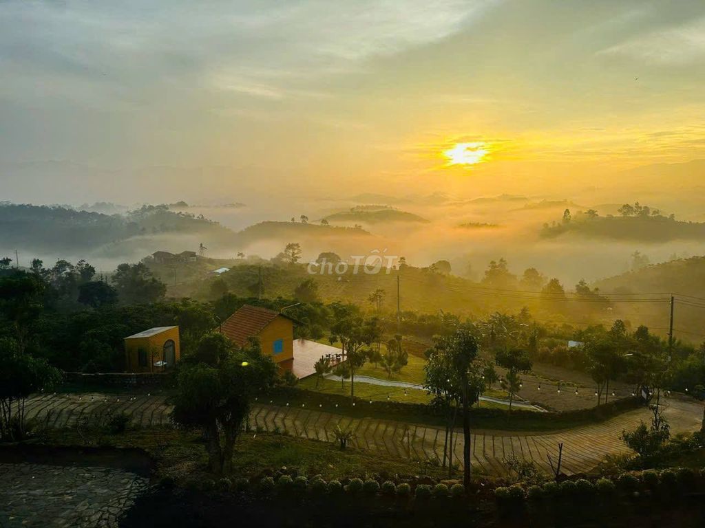 Nhà vườn nghỉ dưỡng view săn mây đồi Bát Úp-TP.Bảo Lộc 1549m2 chỉ 2.4t. Mua bán nhà ở tại Thành phố Bảo Lộc Lâm Đồng được đăng bởi Kim Ngân BDS Bảo Lộc hình 4