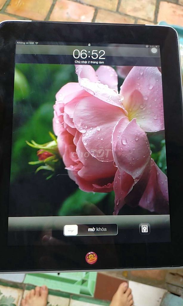 0396688117 - Apple iPad 1 16 GB