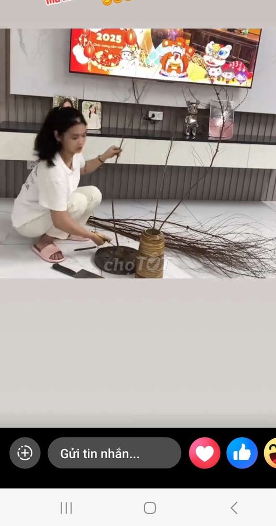 Kệ tivi Nhựa Ecoplast 2m. Mua bán Tủ, kệ gia đình tại Huyện Thanh Oai Hà Nội được đăng bởi nguyễn hà hình 1