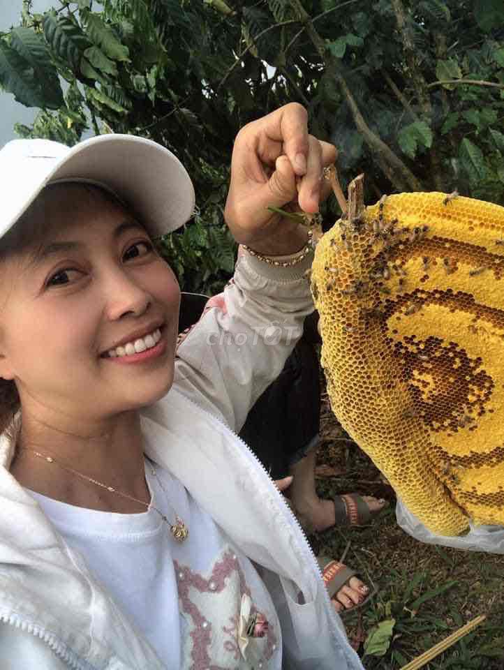 Mật ong ruồi tự nhiên 500ml. Mua bán Đồ ăn, thực phẩm và các loại khác tại Quận Tân Bình Tp Hồ Chí Minh được đăng bởi Huỳnh thị loan anh hình 1