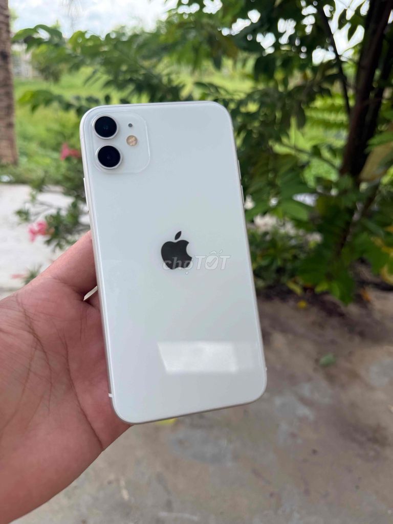 Apple iPhone 11 64GB Trắng Đã thay pin. Mua bán Điện thoại tại Huyện Gò Dầu Tây Ninh được đăng bởi Táo Xanh hình 1