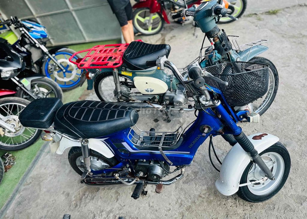 Honda Chaly 50 / Bs65Aa Máy Cực Êm