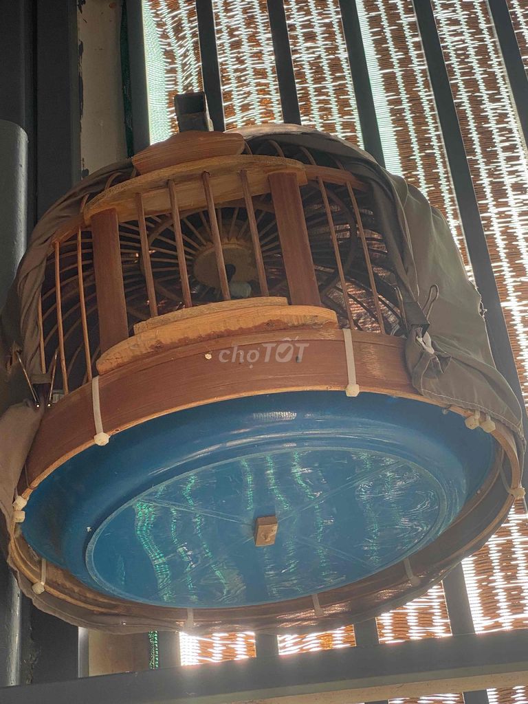 bán hai con chim cu gáy. Mua bán Chim tại Thành phố Vũng Tàu Bà Rịa - Vũng Tàu được đăng bởi tuấn minh hình 1