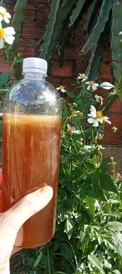 Mật Ong hoa cafe nguyên chất tự nhiên. Mua bán Đồ ăn, thực phẩm và các loại khác tại Thành phố Thủ Đức Tp Hồ Chí Minh được đăng bởi mr Trung