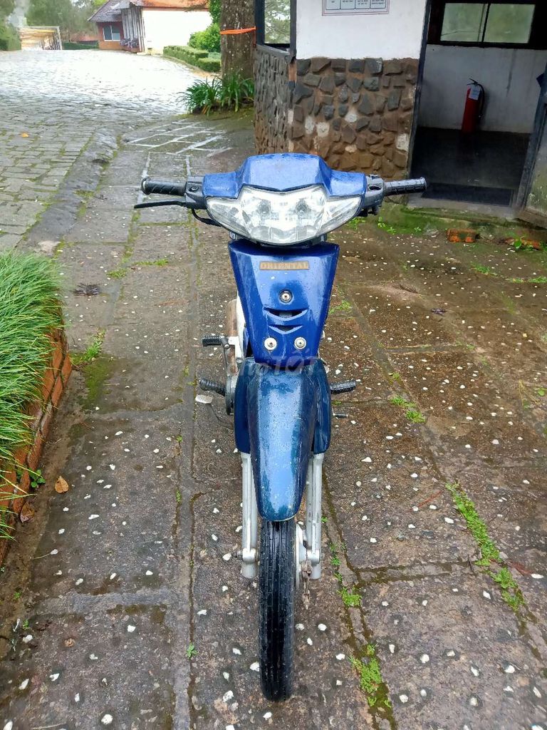 Honda Wave màu Xanh dương. Mua bán Xe máy tại Thành phố Đà Lạt Lâm Đồng được đăng bởi Trần Nguyễn Anh Nhuận  hình 1