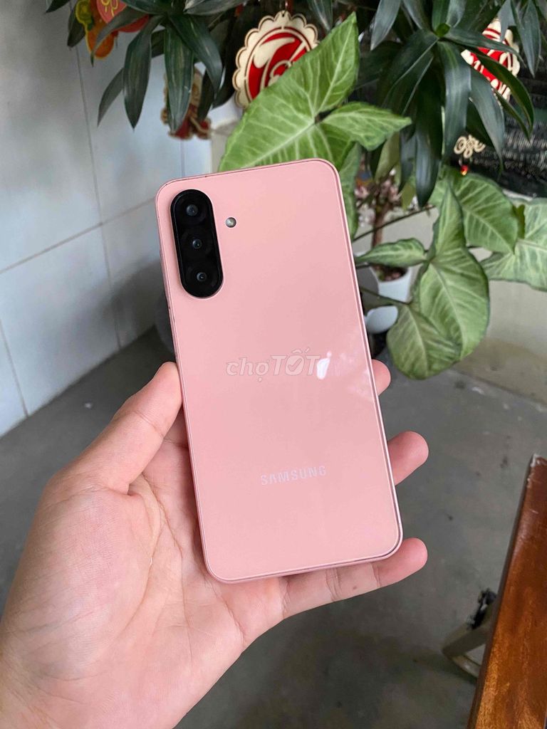 Samsung A26 5G 8/128GB Hồng. Mua bán Điện thoại tại Quận Ninh Kiều Cần Thơ được đăng bởi Ty Xperia hình 1