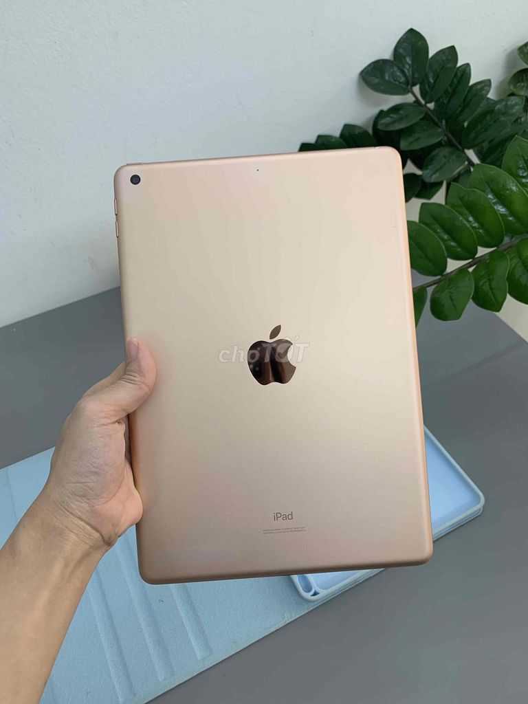 iPad Gen 7 128GB Gold Đẹp, Nguyên Bản. Mua bán Máy tính bảng tại Quận Cầu Giấy Hà Nội được đăng bởi An Nhiên hình 1