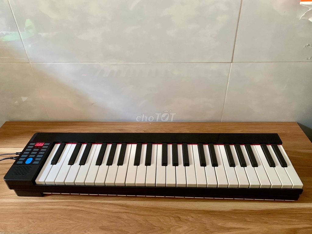 Đàn Piano gấp gọn tại Tphcm