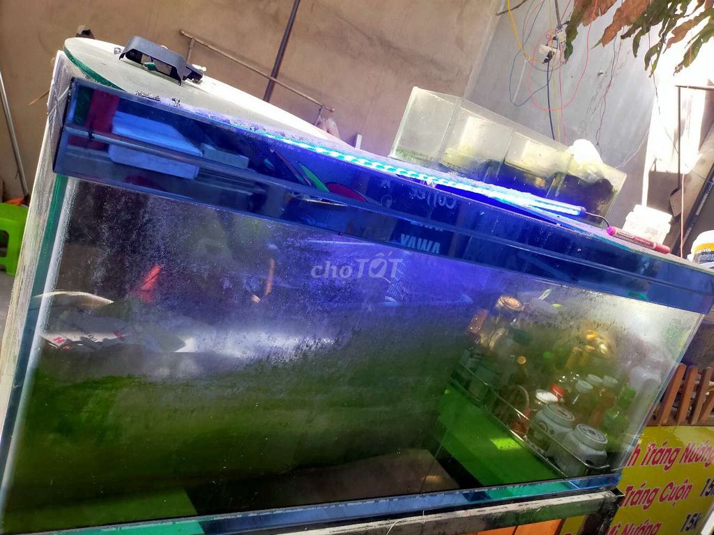 Hồ cá cảnh Kính 120x50x40cm. Mua bán Phụ kiện, Thức ăn, Dịch vụ tại Huyện Trảng Bom Đồng Nai được đăng bởi Trucnguyen hình 1