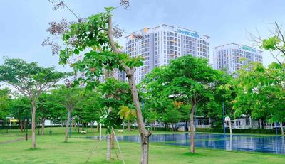 Аренда · 2 комн. · 25 м² · Quận 8, ул. Đường Phạm Thế Hiển