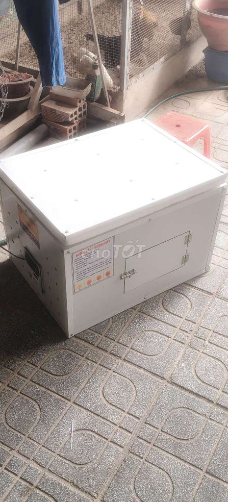Máy ấp trứng Trắng nhỏ gọn. Mua bán Đồ chuyên dụng, Giống nuôi trồng tại Thành phố Thủ Dầu Một Bình Dương được đăng bởi Nguyễn Nhựt hình 1