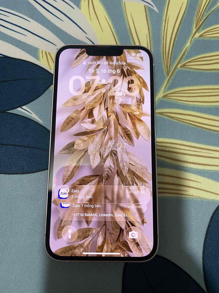 iphone 13 hàng vn/a TGDD. Mua bán Điện thoại tại Huyện Bình Chánh Tp Hồ Chí Minh được đăng bởi tuyền hình 1