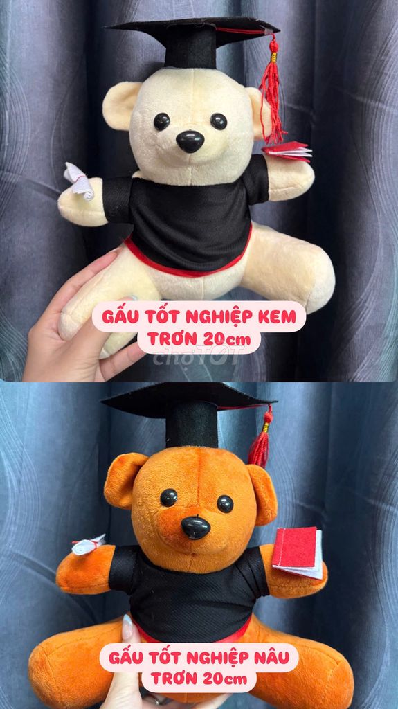 Gấu Bông Tốt Nghiệp, Gấu Bông Cử Nhân Làm Quà Tặng