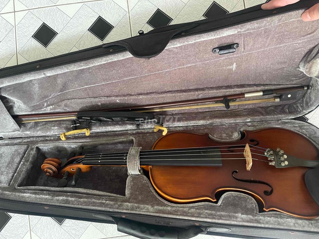 Đàn violon