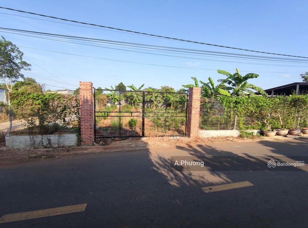 Đất Biệt Thự Vườn,  Đông Dân Cư, QH Bàn Cờ, TRung Tâm Ngãi Giao HCM