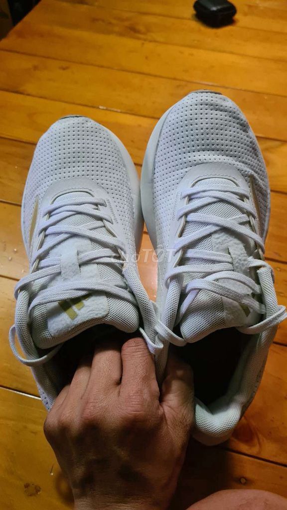 Giày thể thao Adidas Trắng. Mua bán Giày dép tại Quận Hồng Bàng Hải Phòng được đăng bởi hunghoan hình 1