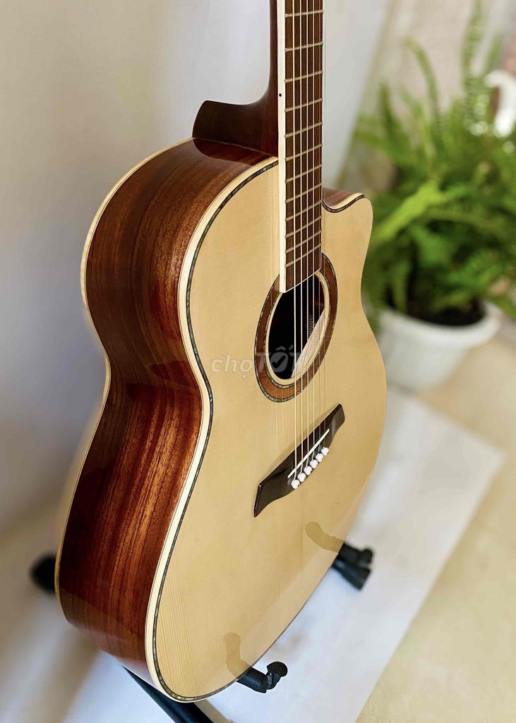 Đàn Guitar Acoustic gỗ thịt xịn xò giá tốt. Mua bán Nhạc cụ tại Quận Tân Phú Tp Hồ Chí Minh được đăng bởi GUITAR GIÁ TỐT TÂN PHÚ hình 1