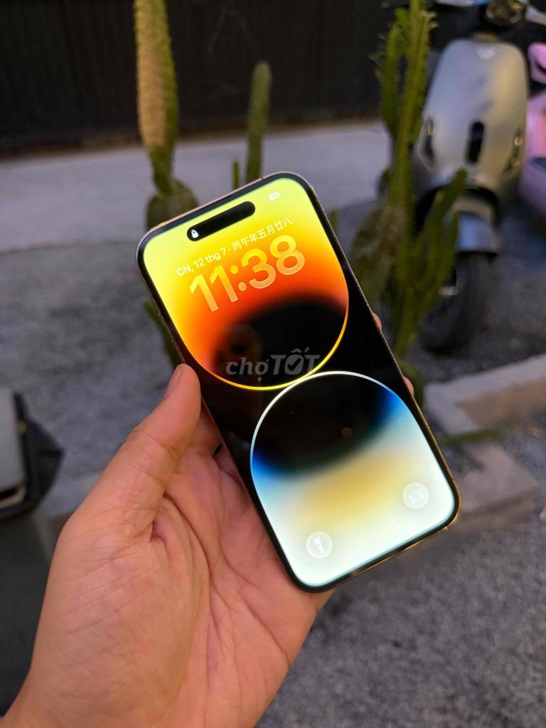 Apple iPhone 14 Pro  Vàng Như mới Đẹp 99%🚗. Mua bán Điện thoại tại Quận Ninh Kiều Cần Thơ được đăng bởi Tài Nhót hình 1