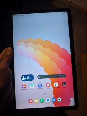 Tab S6 Lite 2024
