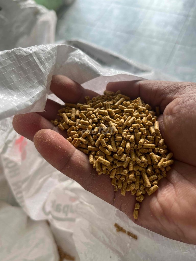 Thức ăn chăn nuôi Gà. Mua bán Phụ kiện, Thức ăn, Dịch vụ tại Huyện Long Hồ Vĩnh Long được đăng bởi  Lê hình 1