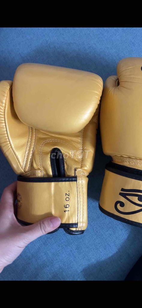 Thanh lý Găng Boxing Fairtex BGV1 Limited 98% 16oz. Mua bán Đồ thể thao, Dã ngoại tại Quận Hoàn Kiếm Hà Nội được đăng bởi Tranv hình 2
