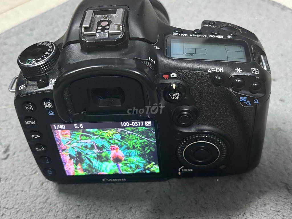 canon 7D lens. Mua bán Máy ảnh, Máy quay tại Quận Tân Bình Tp Hồ Chí Minh được đăng bởi huy  hình 1
