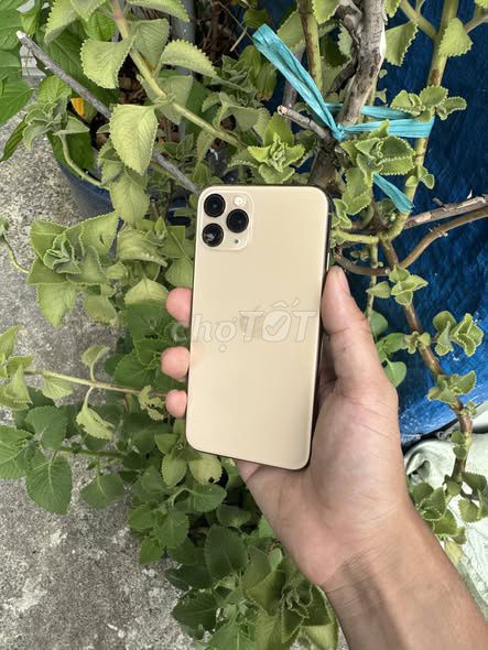 Apple iPhone 11 Pro 64GB Vàng. Mua bán Điện thoại tại Quận 1 Tp Hồ Chí Minh được đăng bởi Hội Đồ Điện Tử hình 1