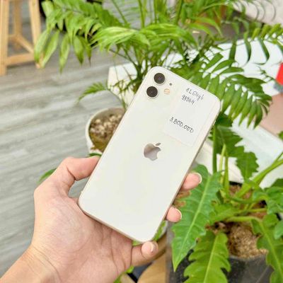 IPHONE 11 LOCK ZIN ĐẸP 98 - GÓP 0đ. Mua bán Điện thoại tại Quận Ninh Kiều Cần Thơ được đăng bởi Minh Mobile
