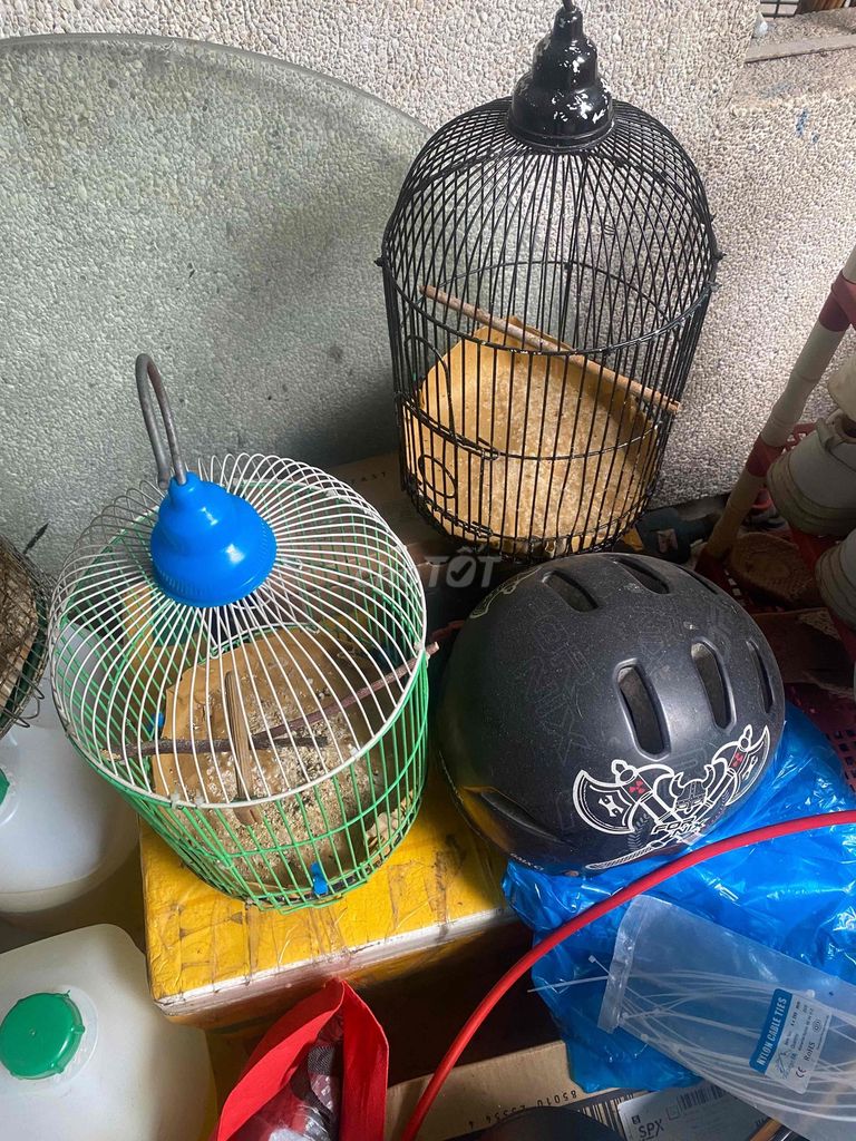 Lồng chim Nhựa Đen, Xanh lá. Mua bán Phụ kiện, Thức ăn, Dịch vụ tại Quận Phú Nhuận Tp Hồ Chí Minh được đăng bởi Nguyễn Quang Bảo hình 1
