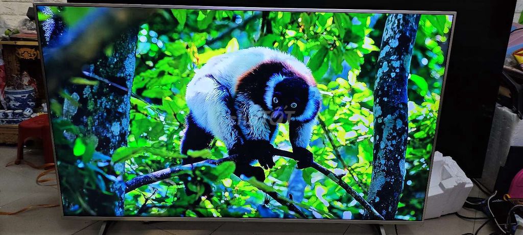 Tivi Sony 55X8500 cao cấp. Mua bán Tivi, Âm thanh tại Quận Hai Bà Trưng Hà Nội được đăng bởi Mr Hung hình 1