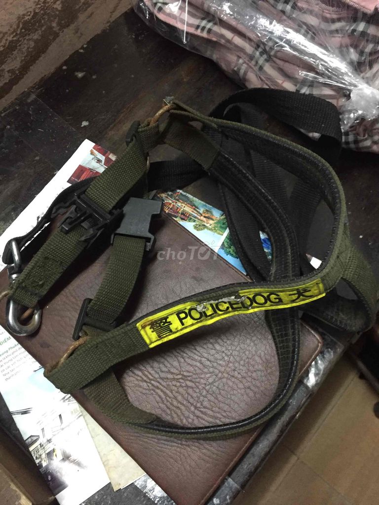 Tặng dây dắt chó. Mua bán Chó tại Quận Đống Đa Hà Nội được đăng bởi Cô phương hình 1