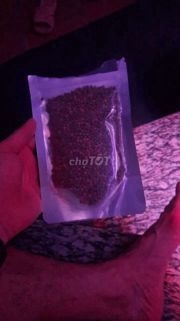 Thức ăn cá La Hán lên màu. Mua bán Phụ kiện, Thức ăn, Dịch vụ tại Quận Nam Từ Liêm Hà Nội được đăng bởi nguyễn Đức  hình 1