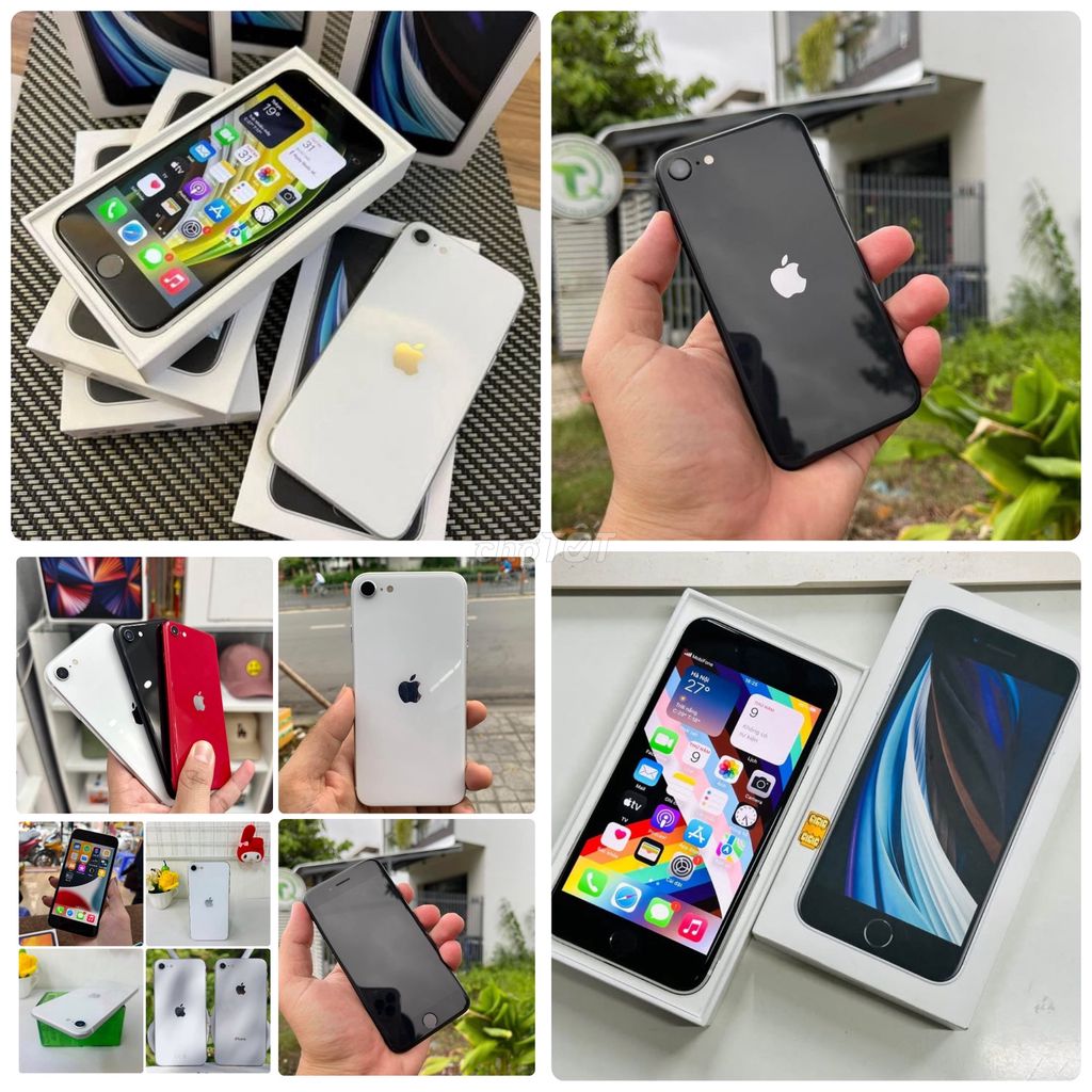 SE 2020 Quốc Tế 256GB/128GB/64Gb Có Bh có ship. Mua bán Điện thoại tại Quận Tân Phú Tp Hồ Chí Minh được đăng bởi Thảo Anh Apple Giá sỉ hình 4