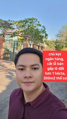 Cần bán lô đất tâm huyết của gia đình để trả nợ