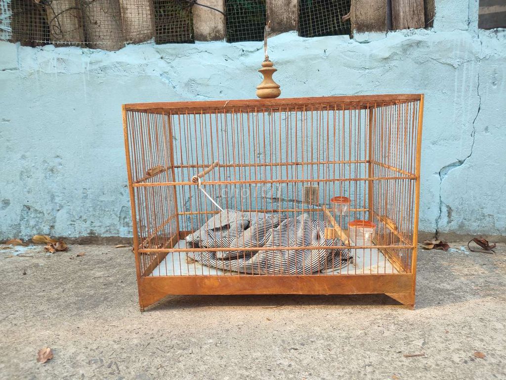 lực 60 hàng đặt nặng đẹp 250k. Mua bán Phụ kiện, Thức ăn, Dịch vụ tại Quận Ngũ Hành Sơn Đà Nẵng được đăng bởi Chàng khờ thủy chung hình 1