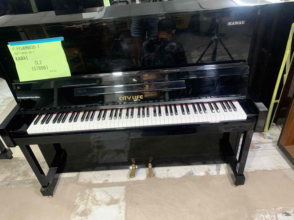 cặp piano cơ giao sĩ