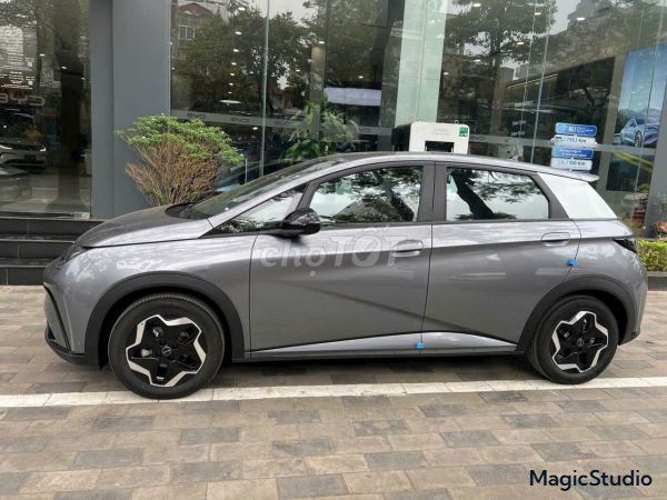 BYD Dolphin GLX 2026 Xám Điện